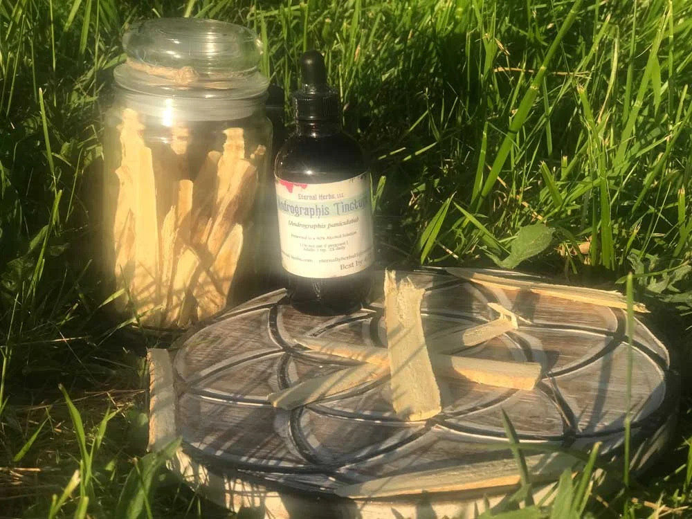 Andrographis Tincture