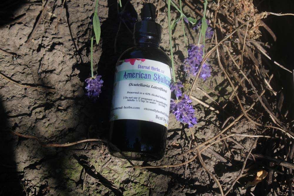 American Skullcap Tincture