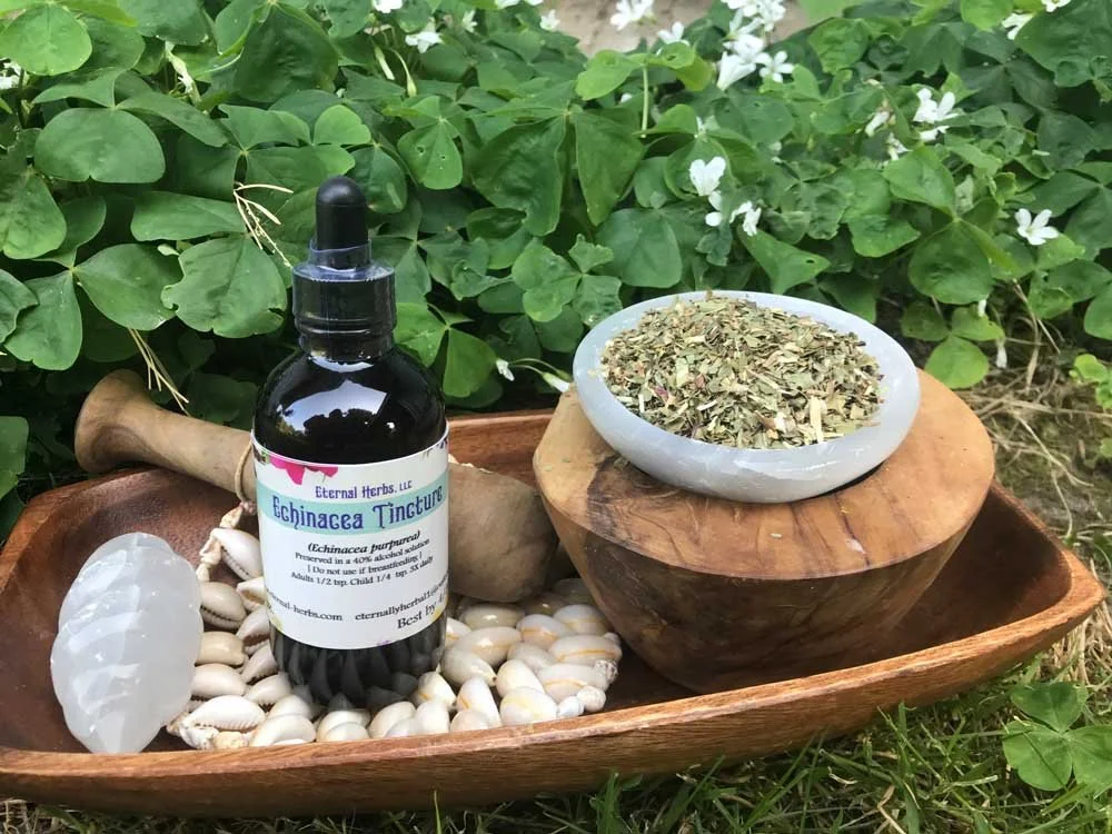 Echinacea Tincture