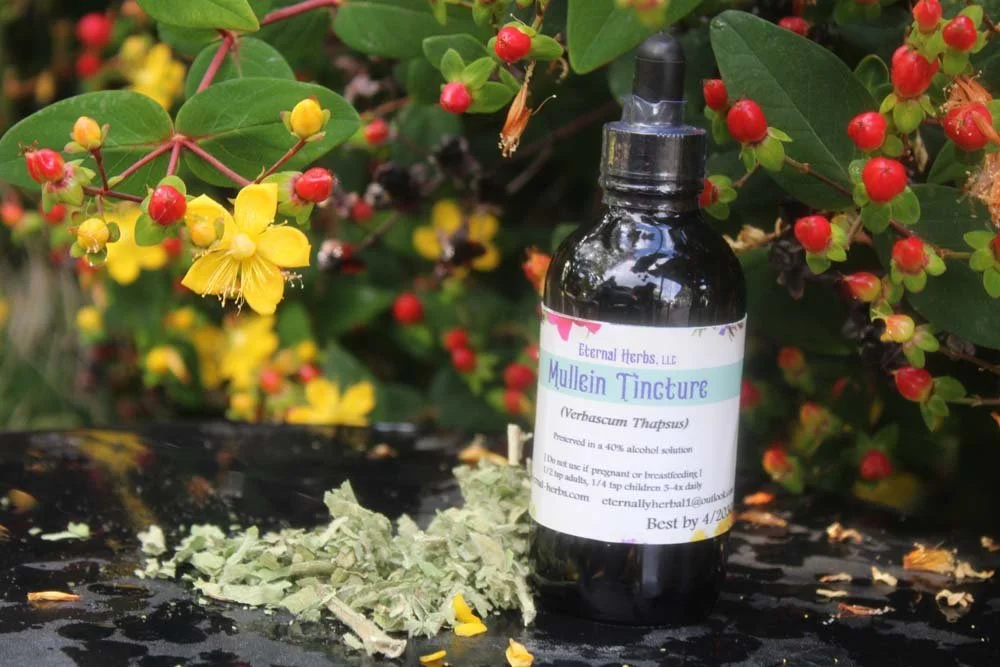 Mullein Leaf Tincture