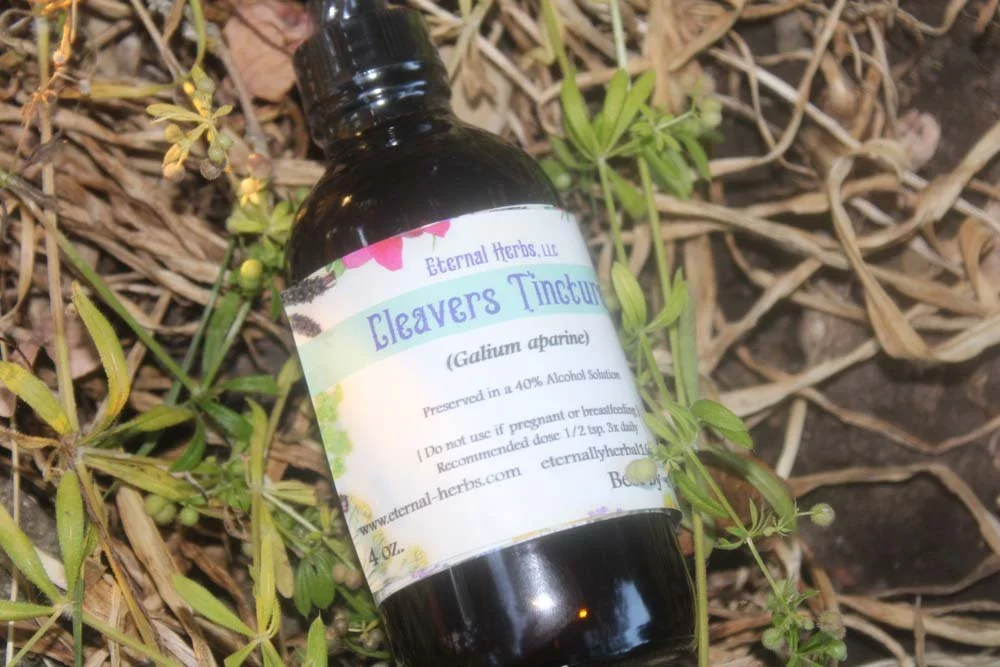 Cleavers Tincture