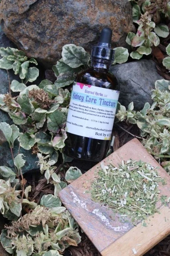 Advanced Kidney Tincture