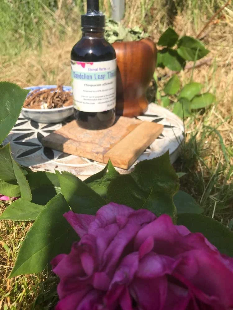 Dandelion Leaf Tincture