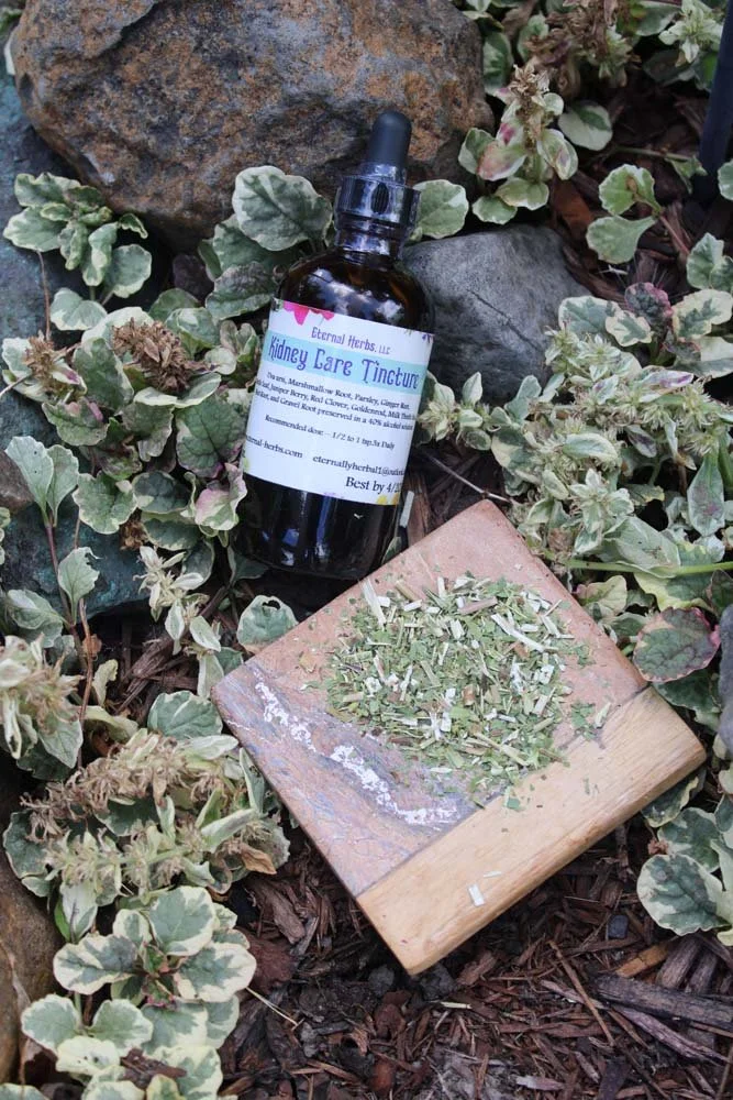 Kidney Care Tincture