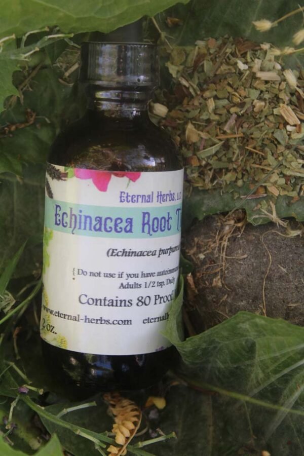 Echinacea Root Tincture