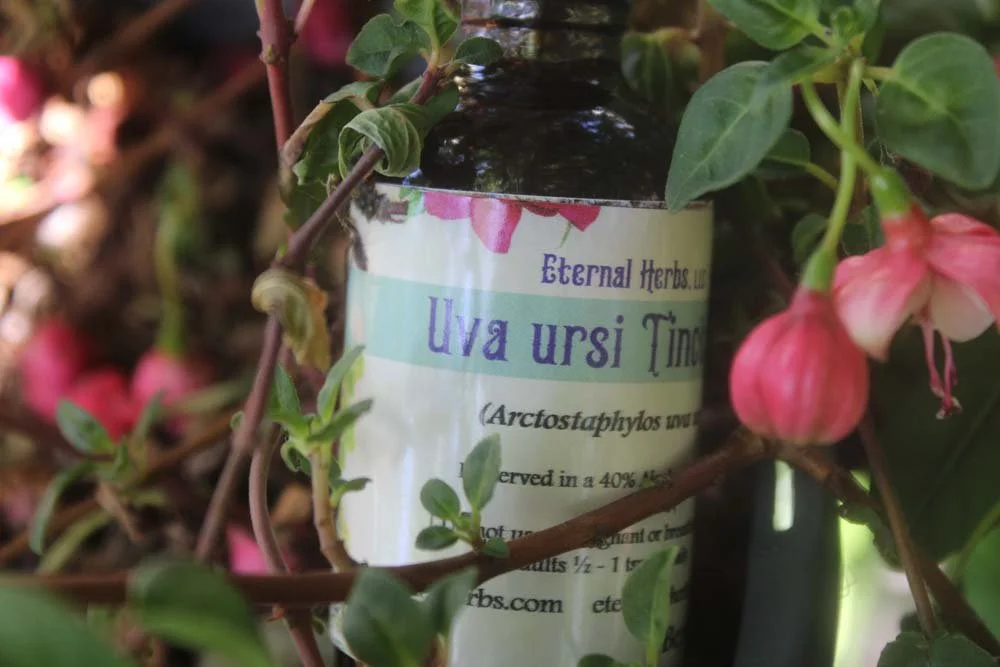Uva Ursi Tincture