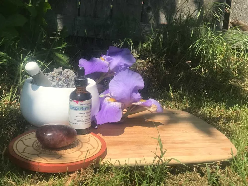 Borage Flower Tincture