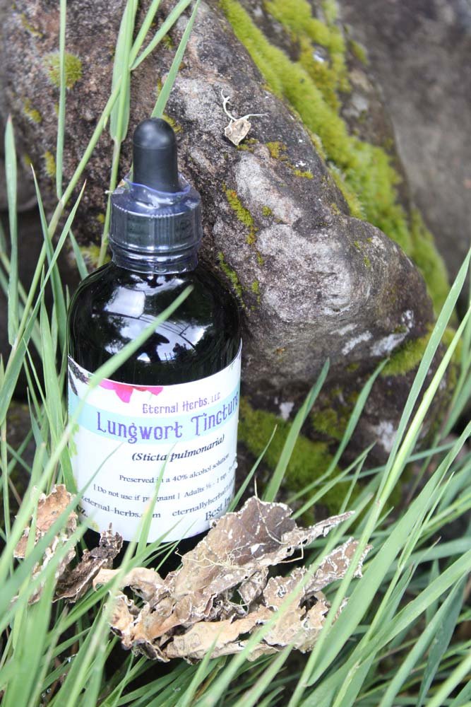 Lungwort Tincture