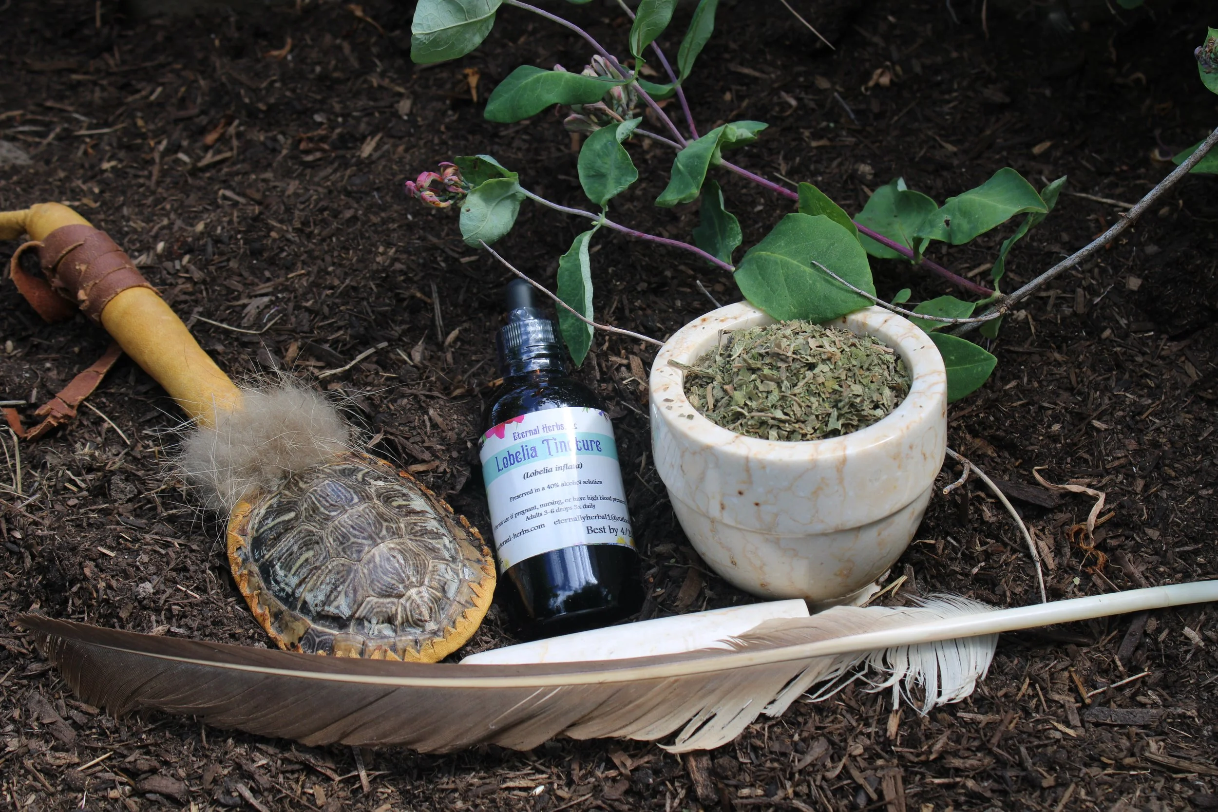 Lobelia Tincture