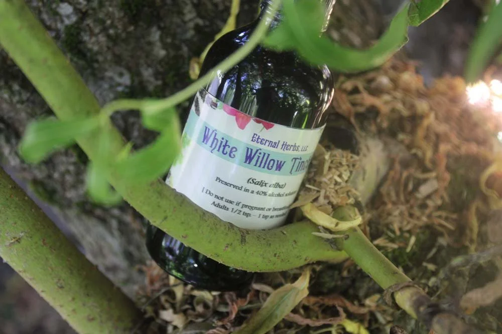 White Willow Tincture