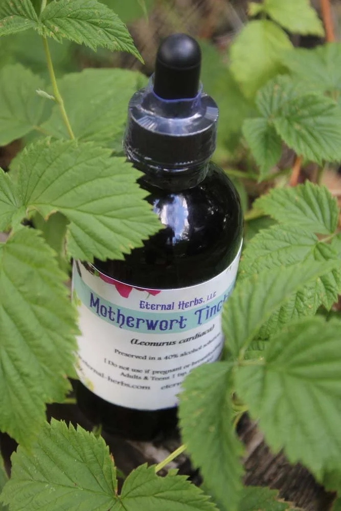 Motherwort Tincture