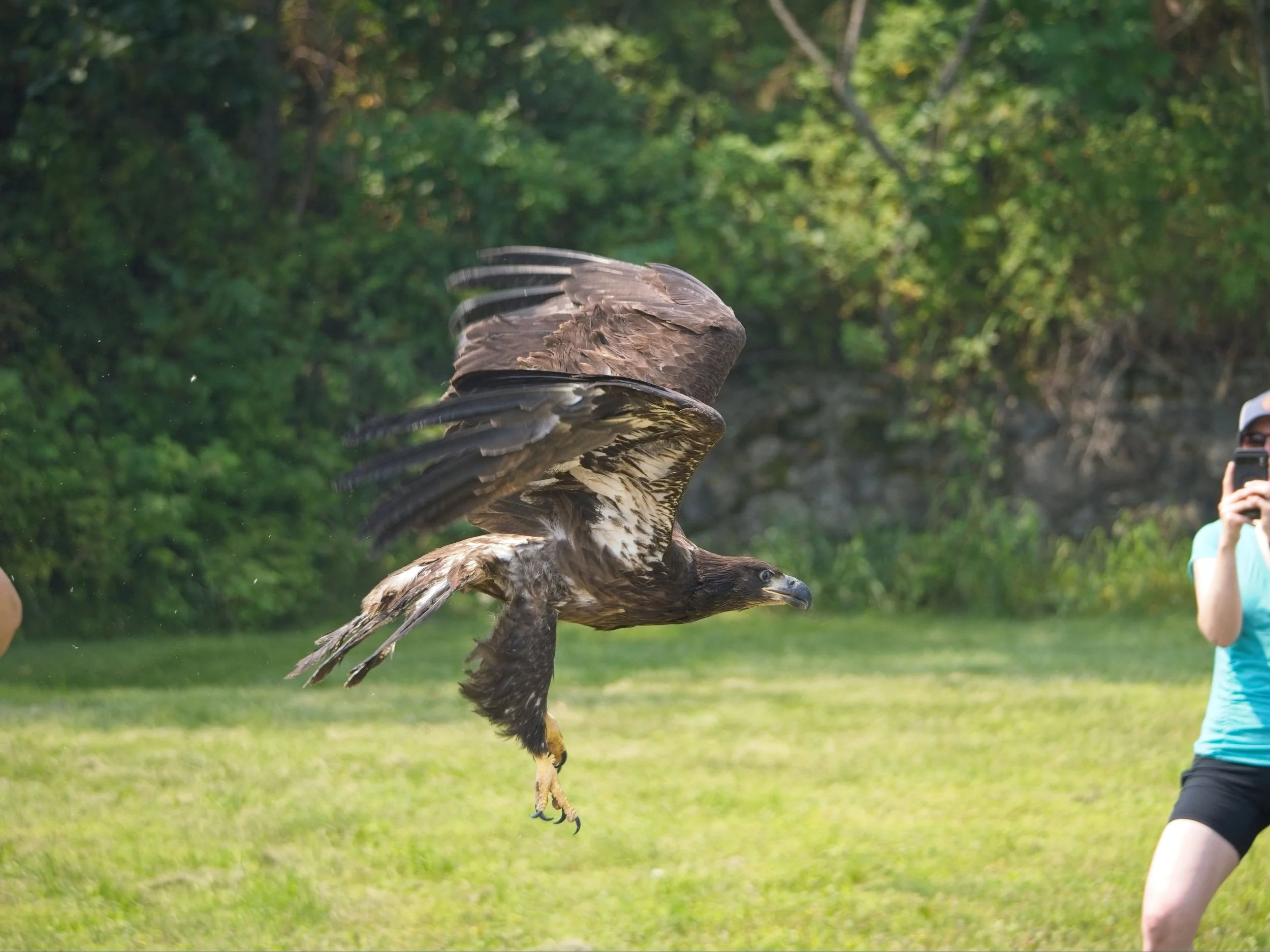 Eagle_Release_0233.jpg