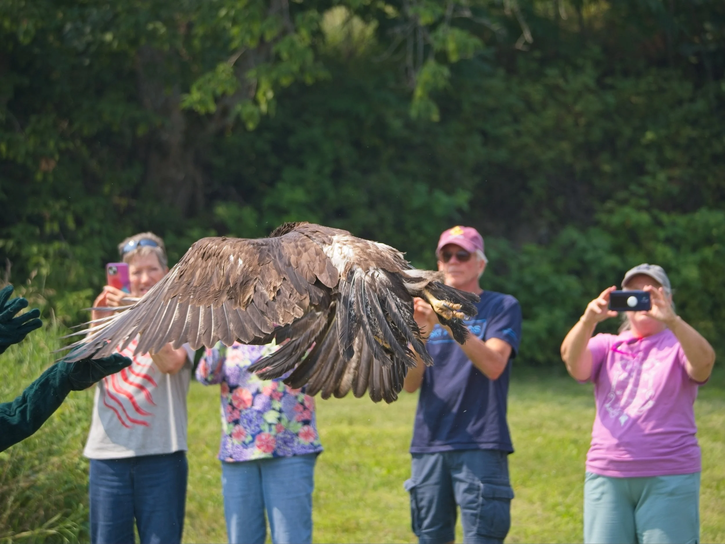 Eagle_Release_0225.jpg