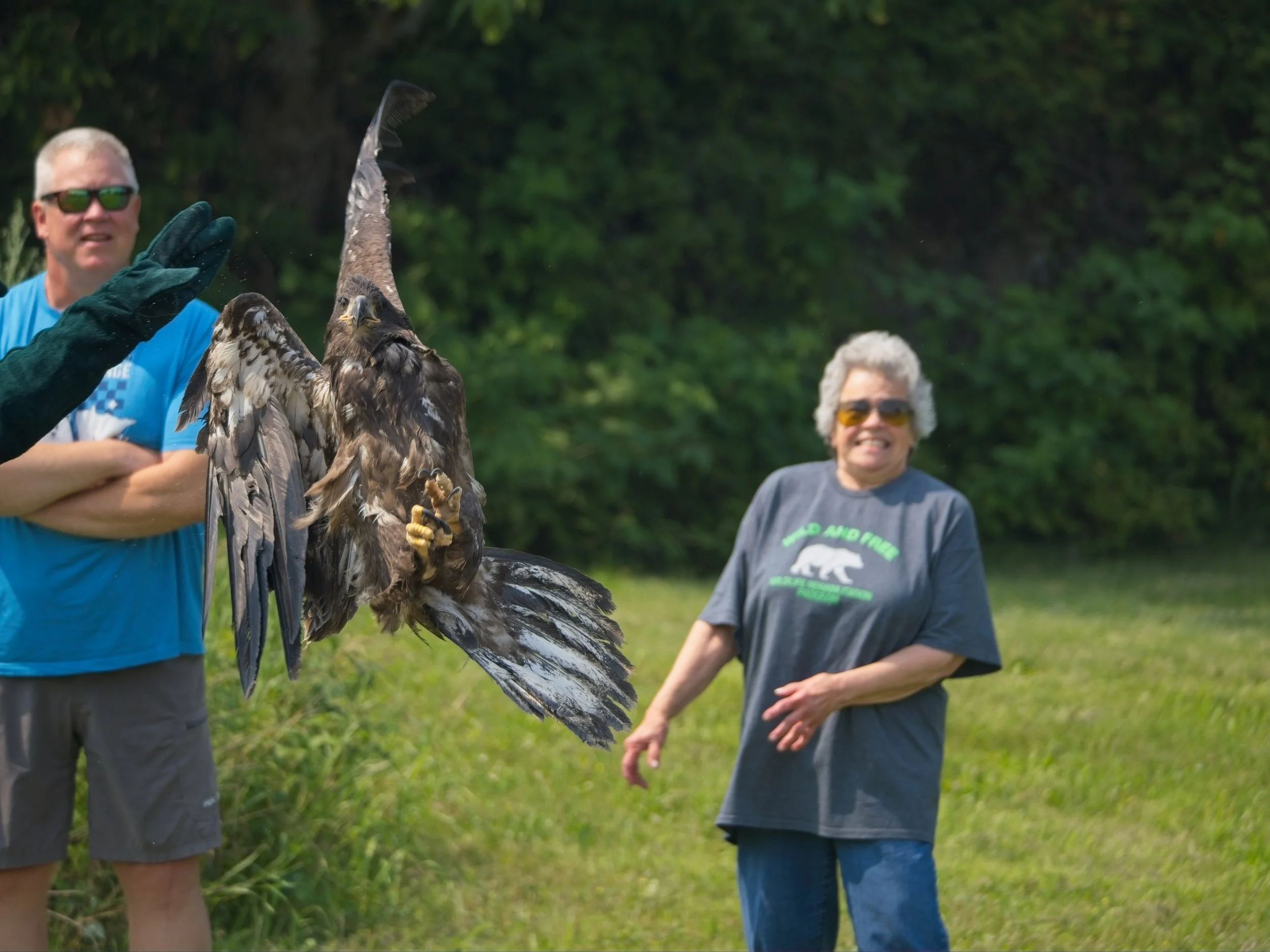 Eagle_Release_0052.jpg