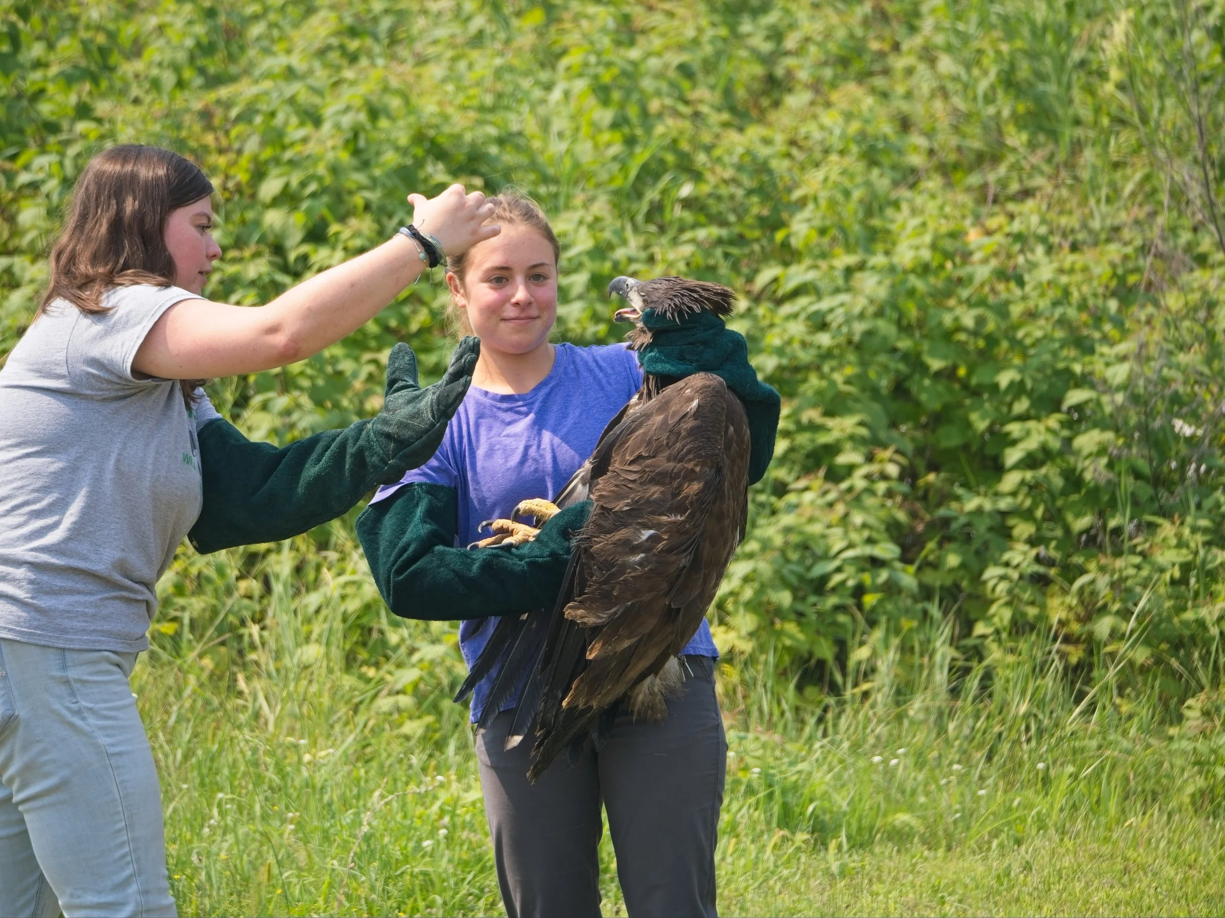 Eagle_Release_0201.jpg
