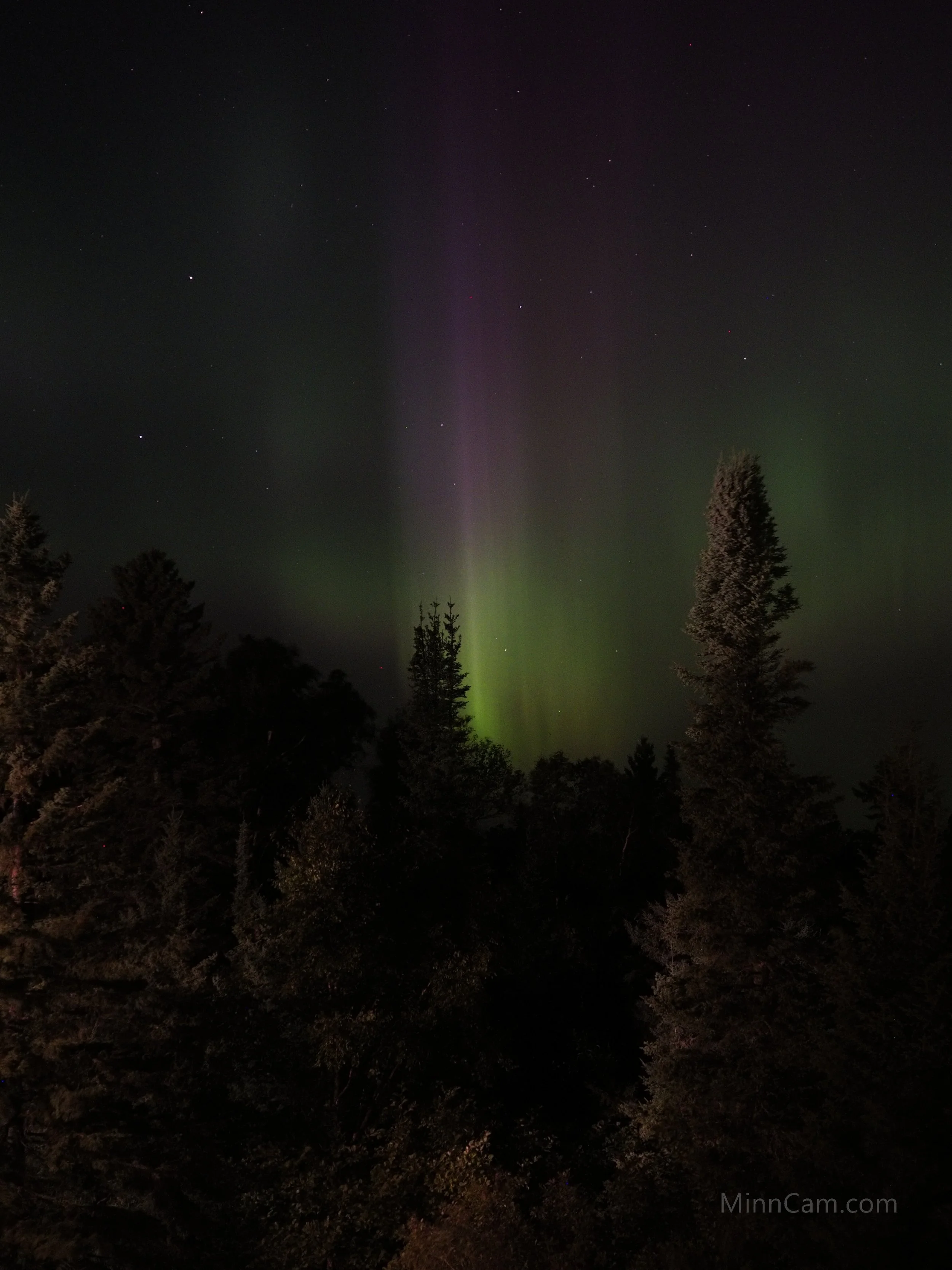 NL1_9180059.jpg