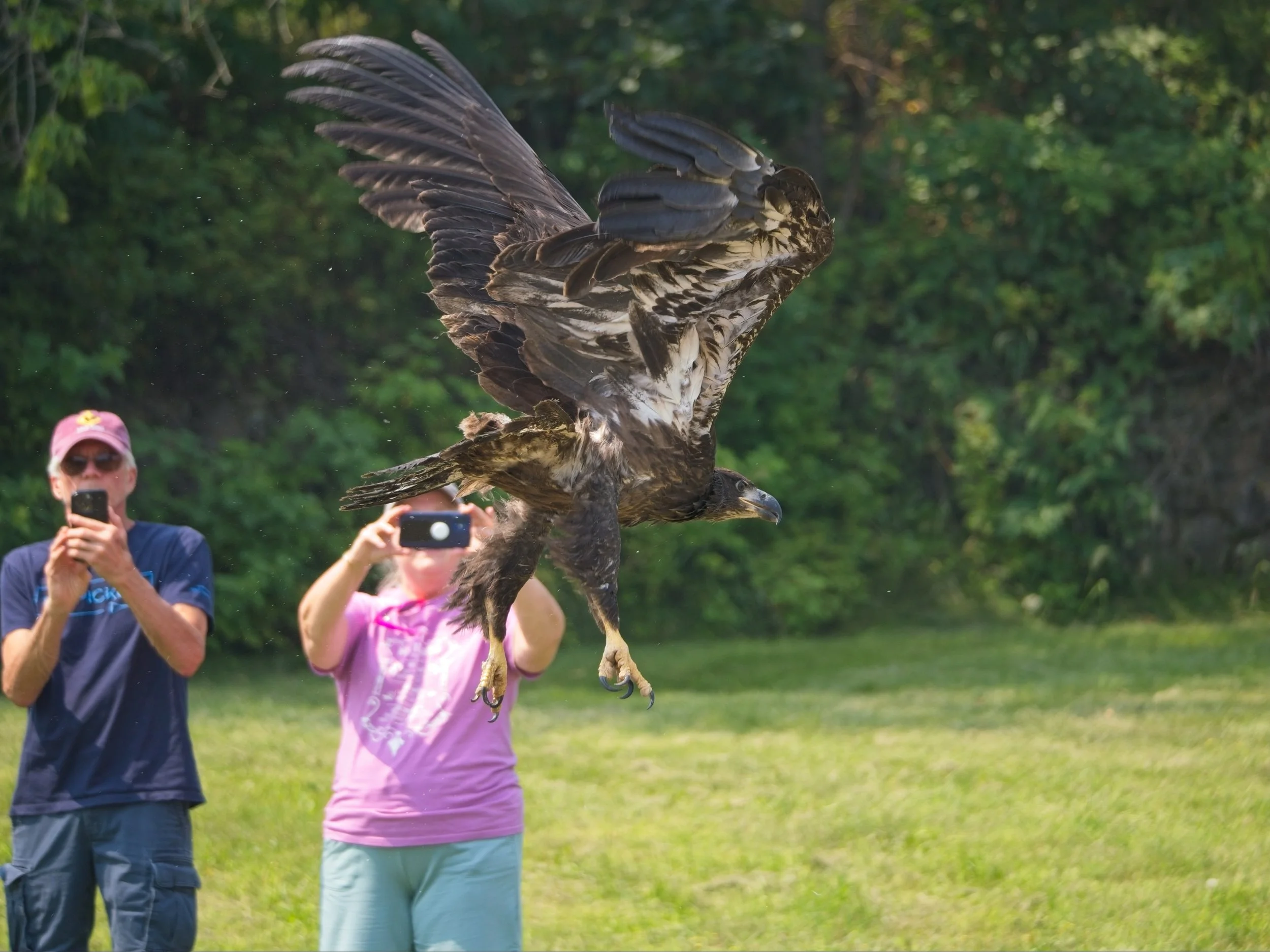 Eagle_Release_0230.jpg