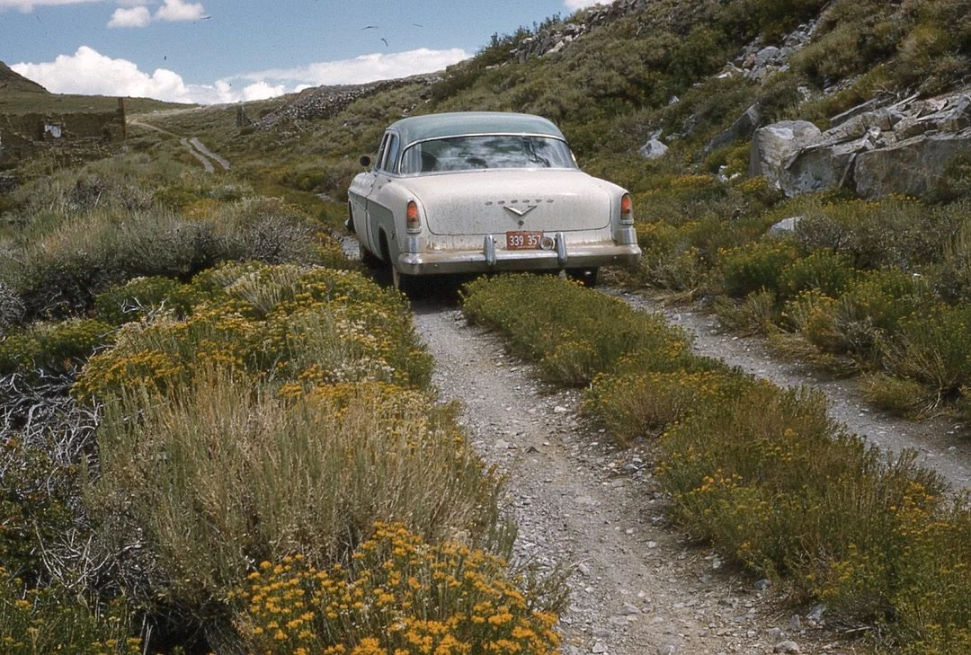 An old white vintage car stuck on a rugged dirt road surrounded by bushes and rocky terrain in a hilly landscape.