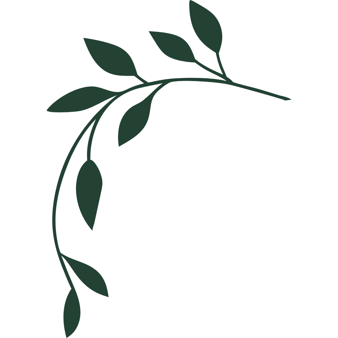 Dark green leafy branch illustration with curved design.