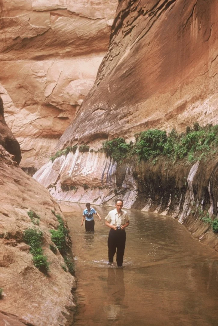 Two people wading in a narrow stream within a canyon with tall, reddish rock walls and some green vegetation.