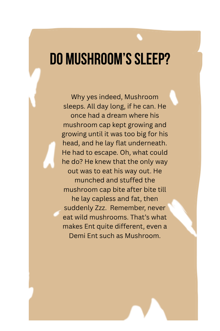 Do Mushrooms sleep?.png
