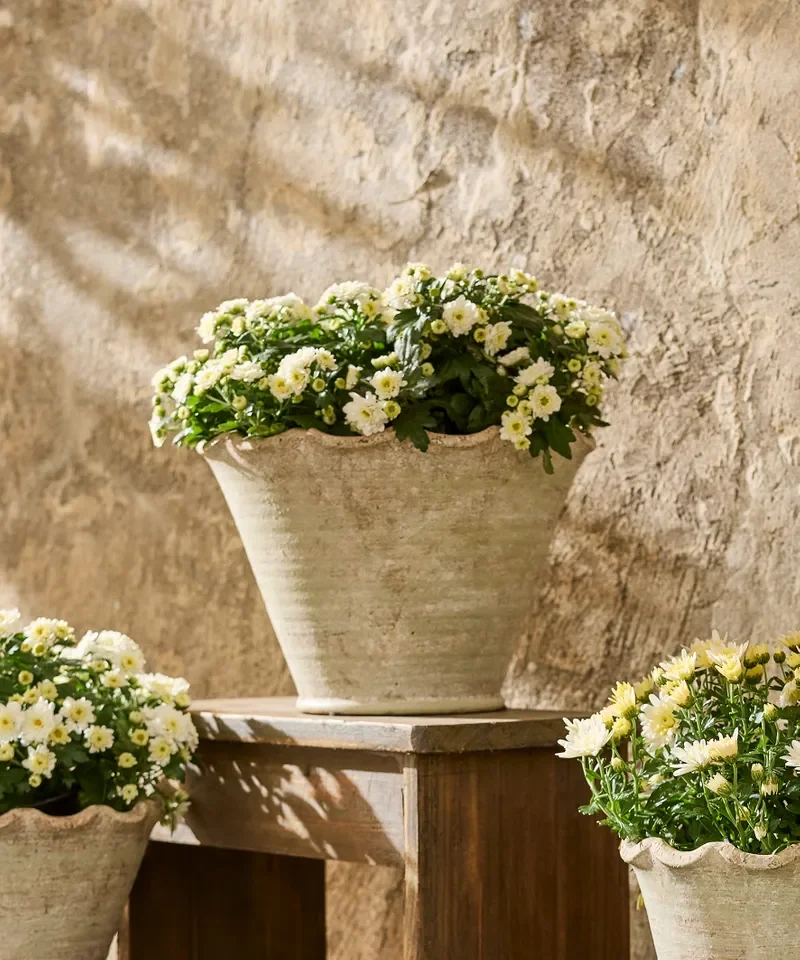 wavy planter pot large white styled.webp