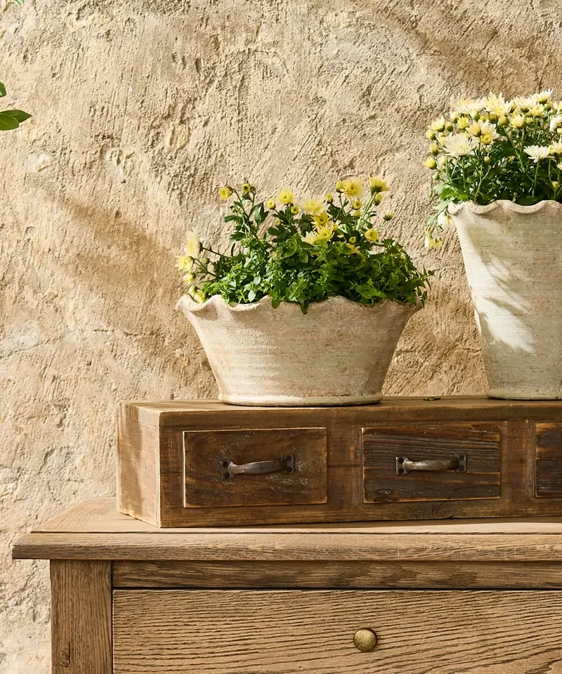 wavy planter bowl styled.webp