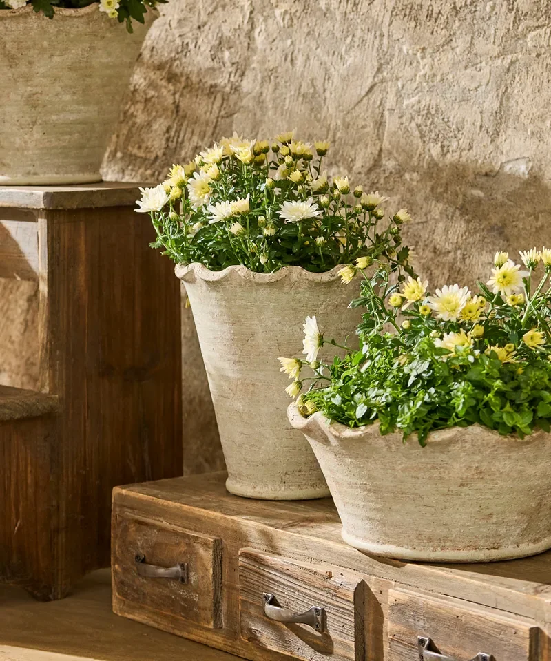 wavy planter vase styled.webp