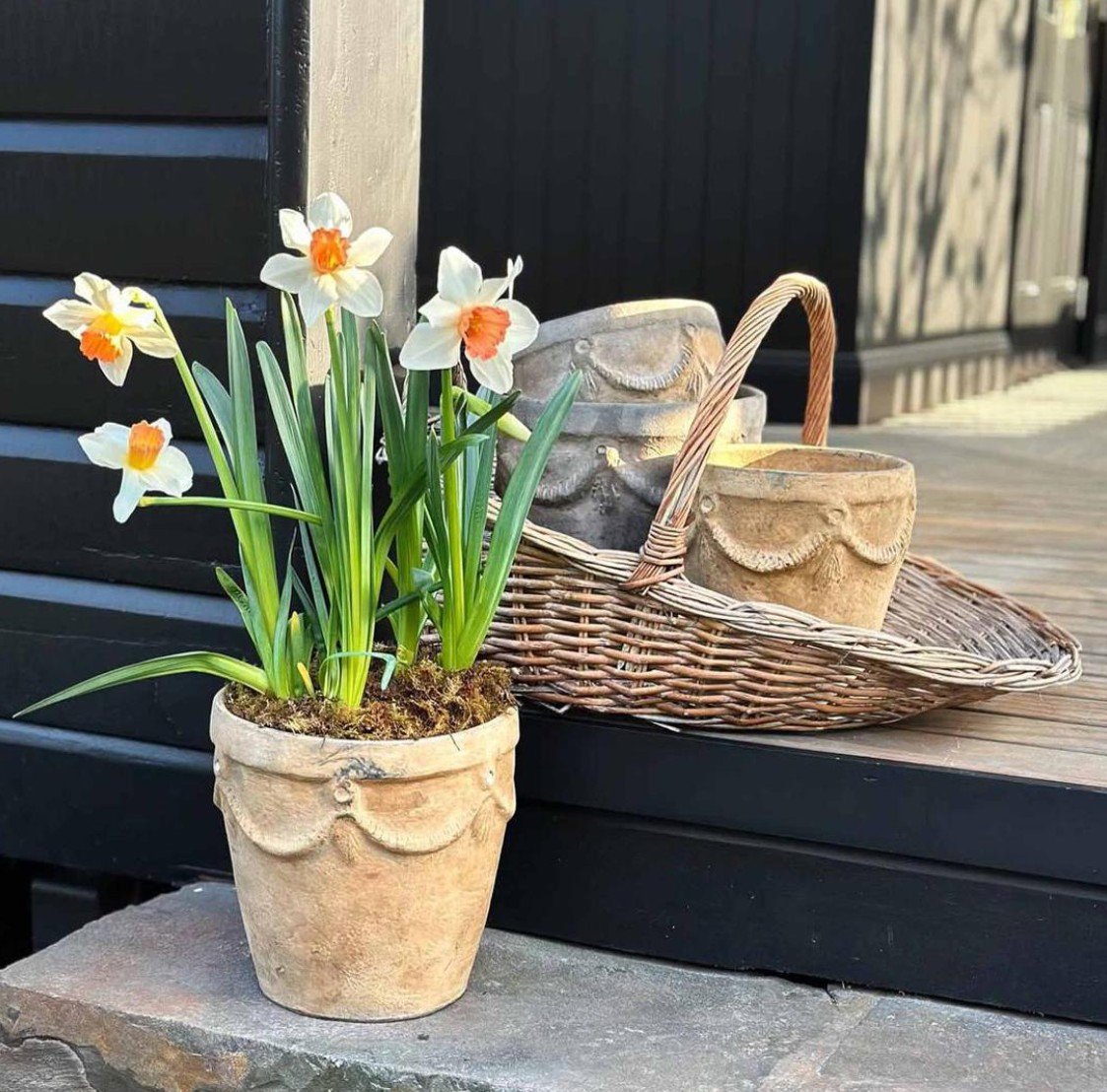 styled trugs with planters.jpg