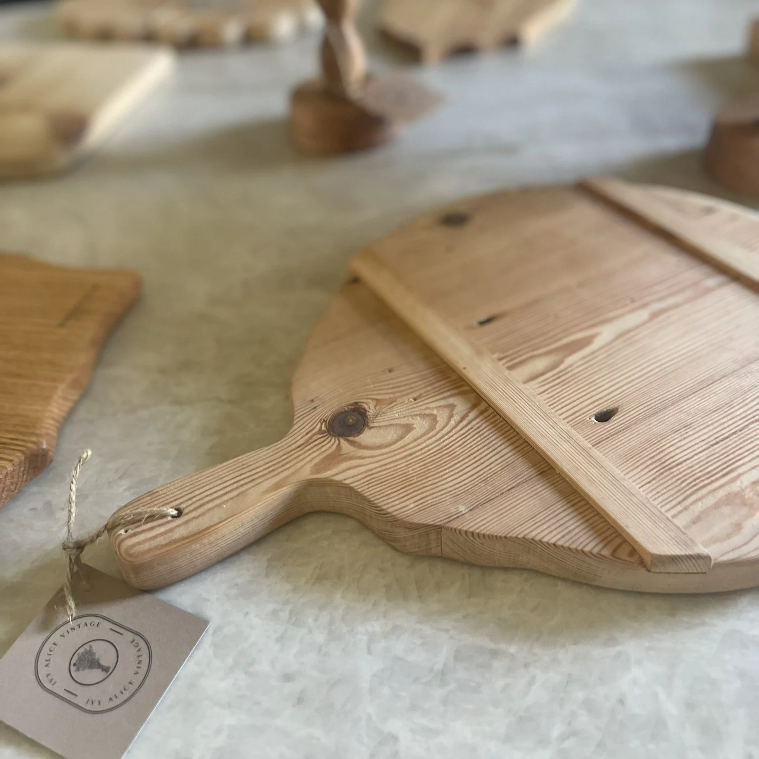 Frenchie Jnr with Bracing