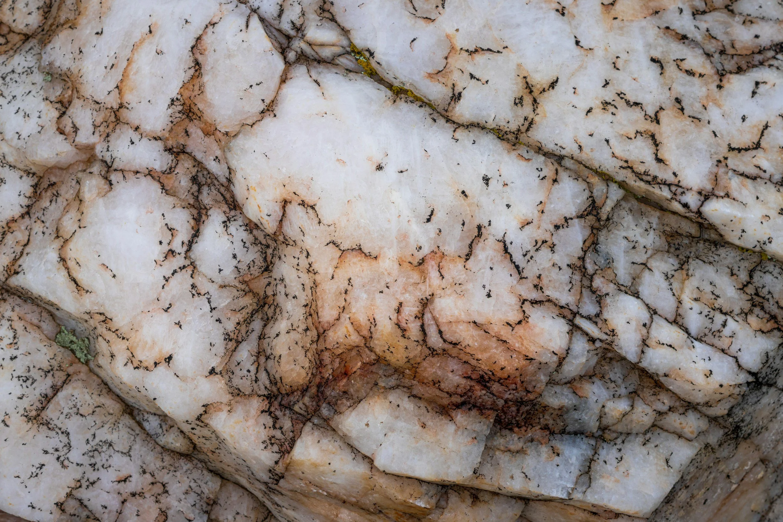Close-up of a white and tan marble rock with black veins and cracks.