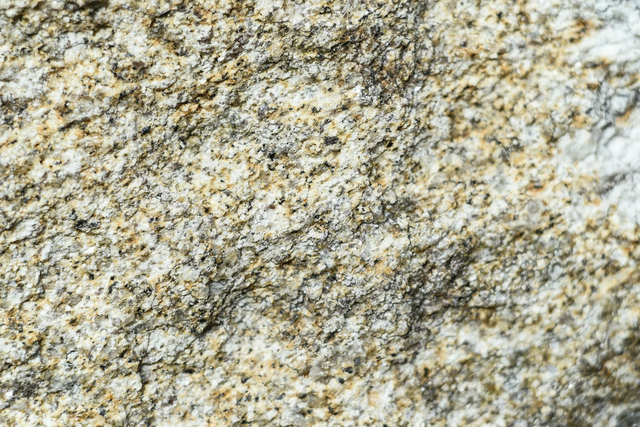 Close-up of a textured granite rock surface with various shades of beige, gray, and black.