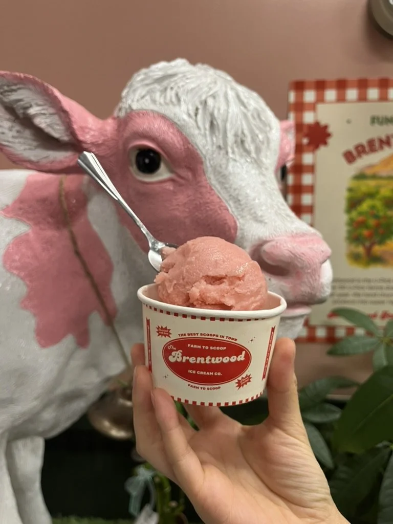 Farm to Scoop White Peach Sorbet