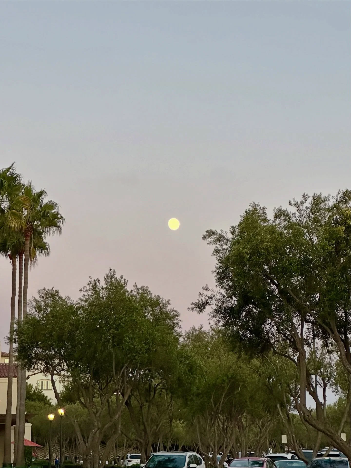 Recently 💞

#photodump #september #recently