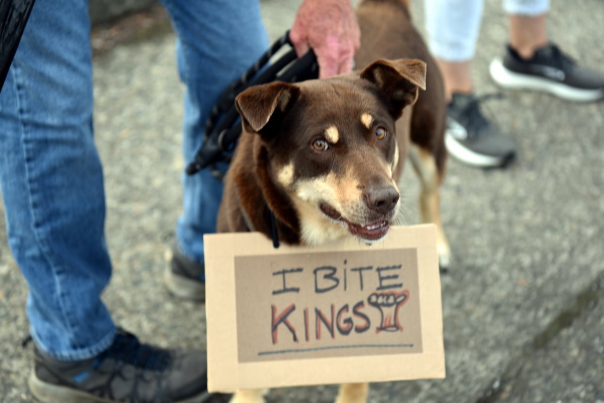 bite.JPG