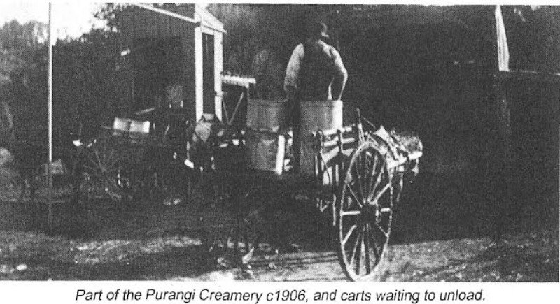 Purangi
