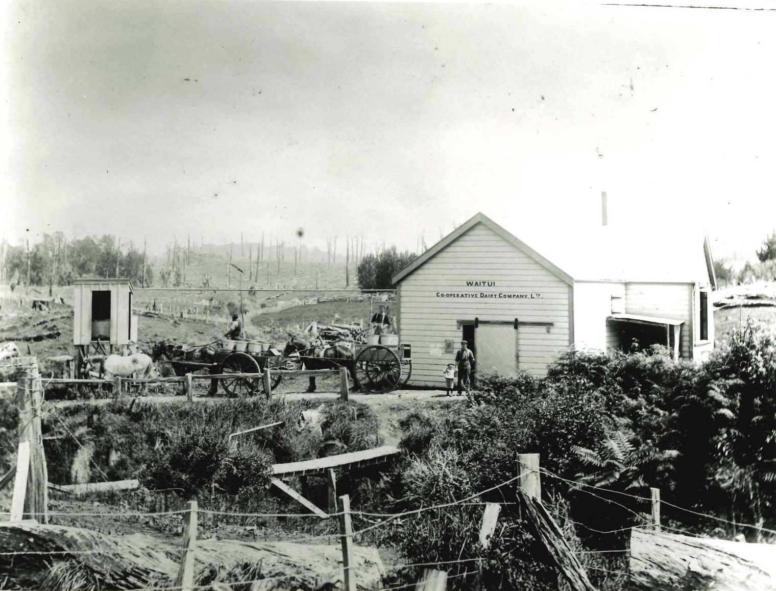 Black and white photo of a rural farm scene with a white barn labeled "Waitui Co-Operative Dairy Company Ltd."  in the background. Horses are hitched to wagons, and people, including children, are standing outside near the barn. The landscape has trees and rolling hills.