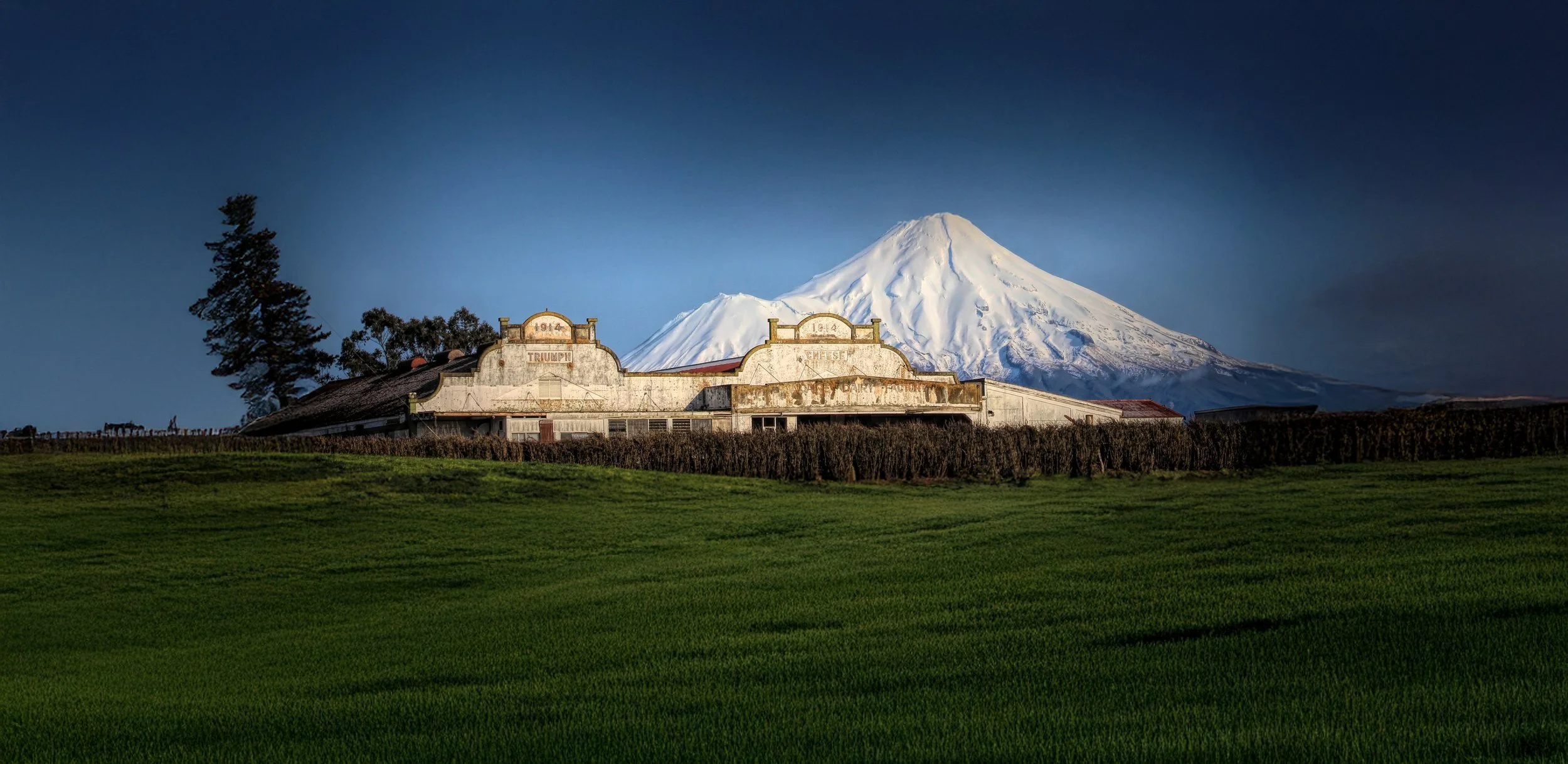Snow-capped Mount Hood in the background with an old, weathered barn in the foreground surrounded by green vineyards.