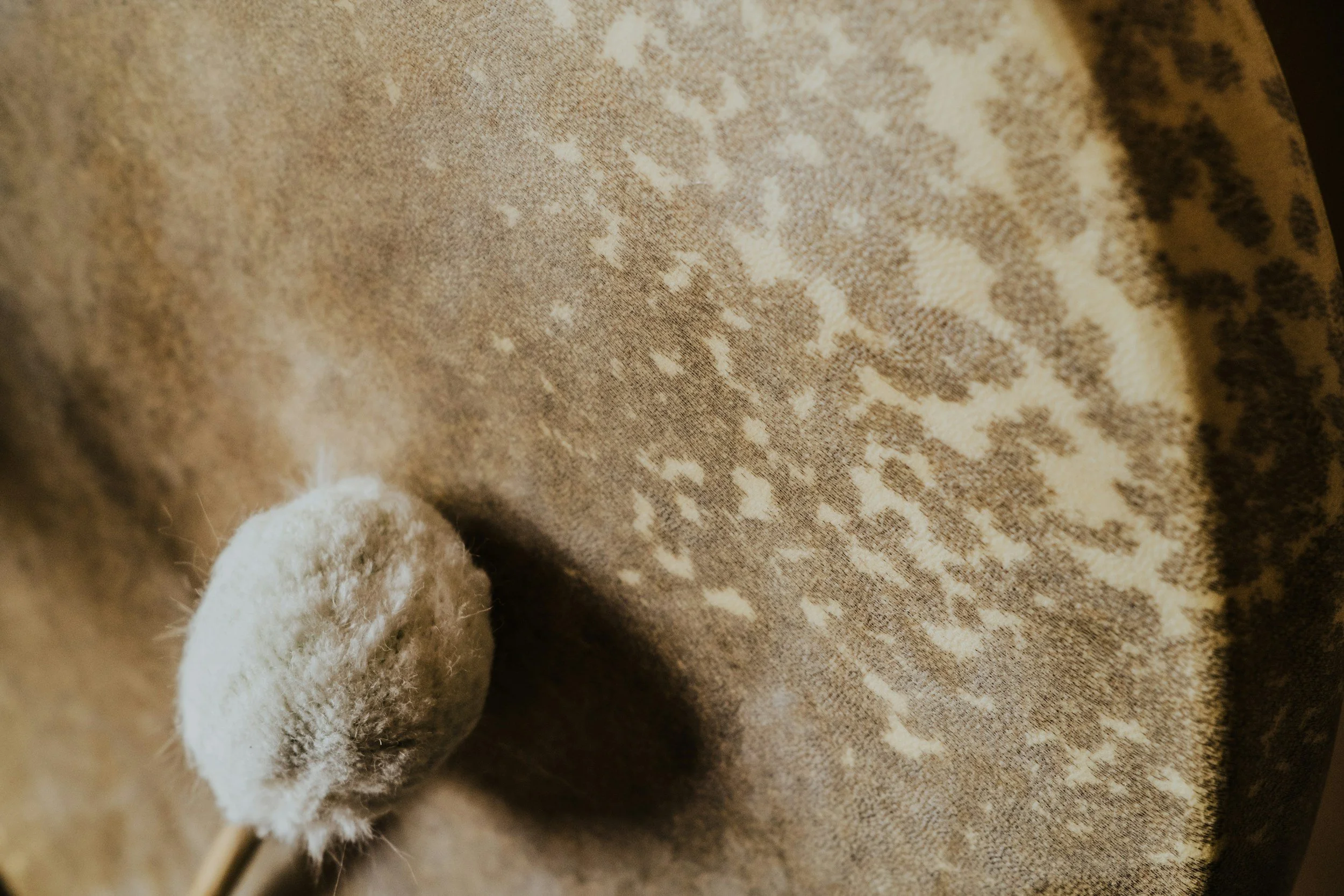 unsplash-image-qk-OFjJB-0o.jpg