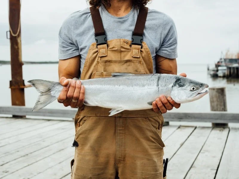 Person holding a large fish on a wooden pier near water, with a cloudy sky and boats in the background.