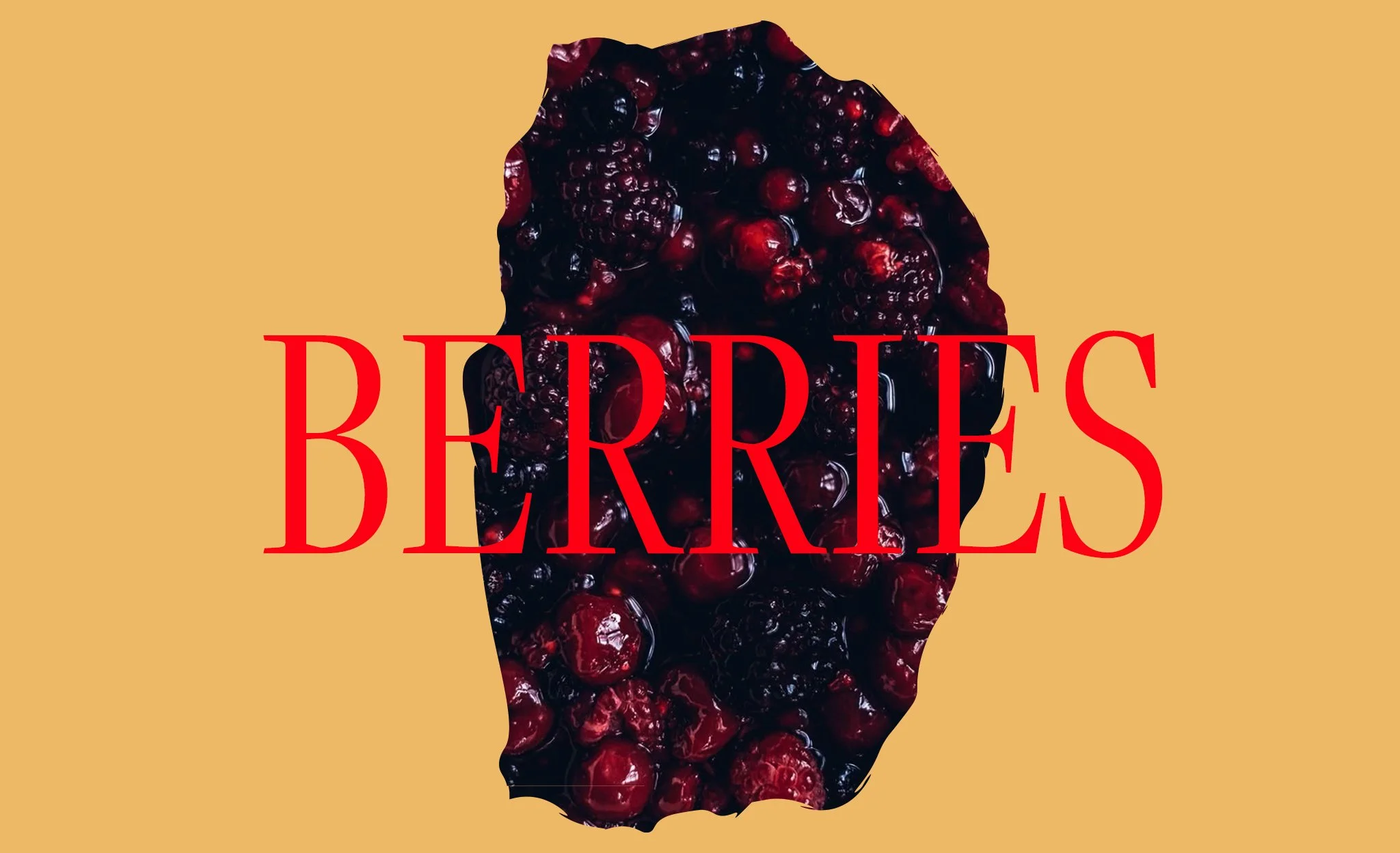 Wild wood Berries.jpg