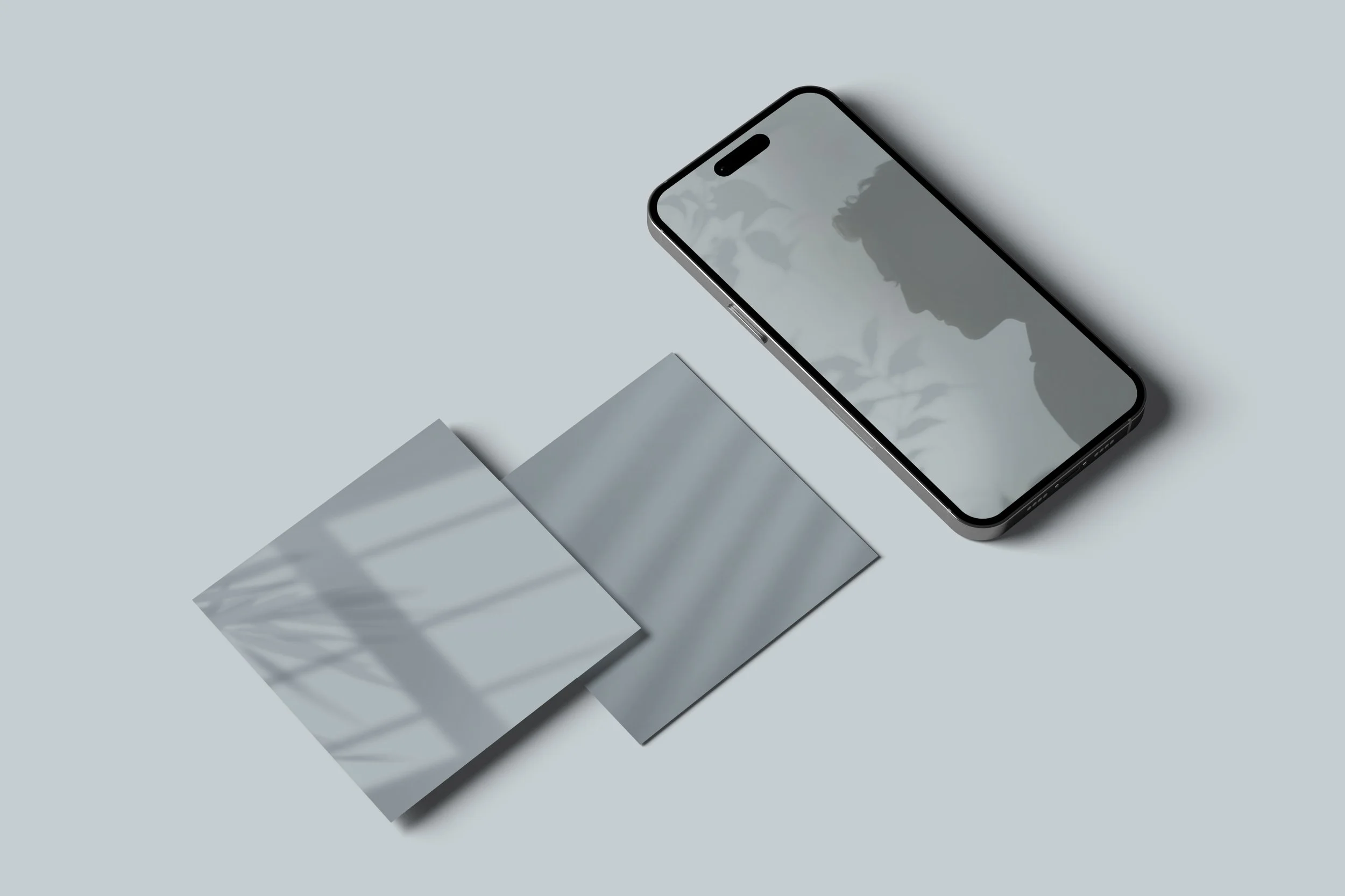 TL facelift2.jpg