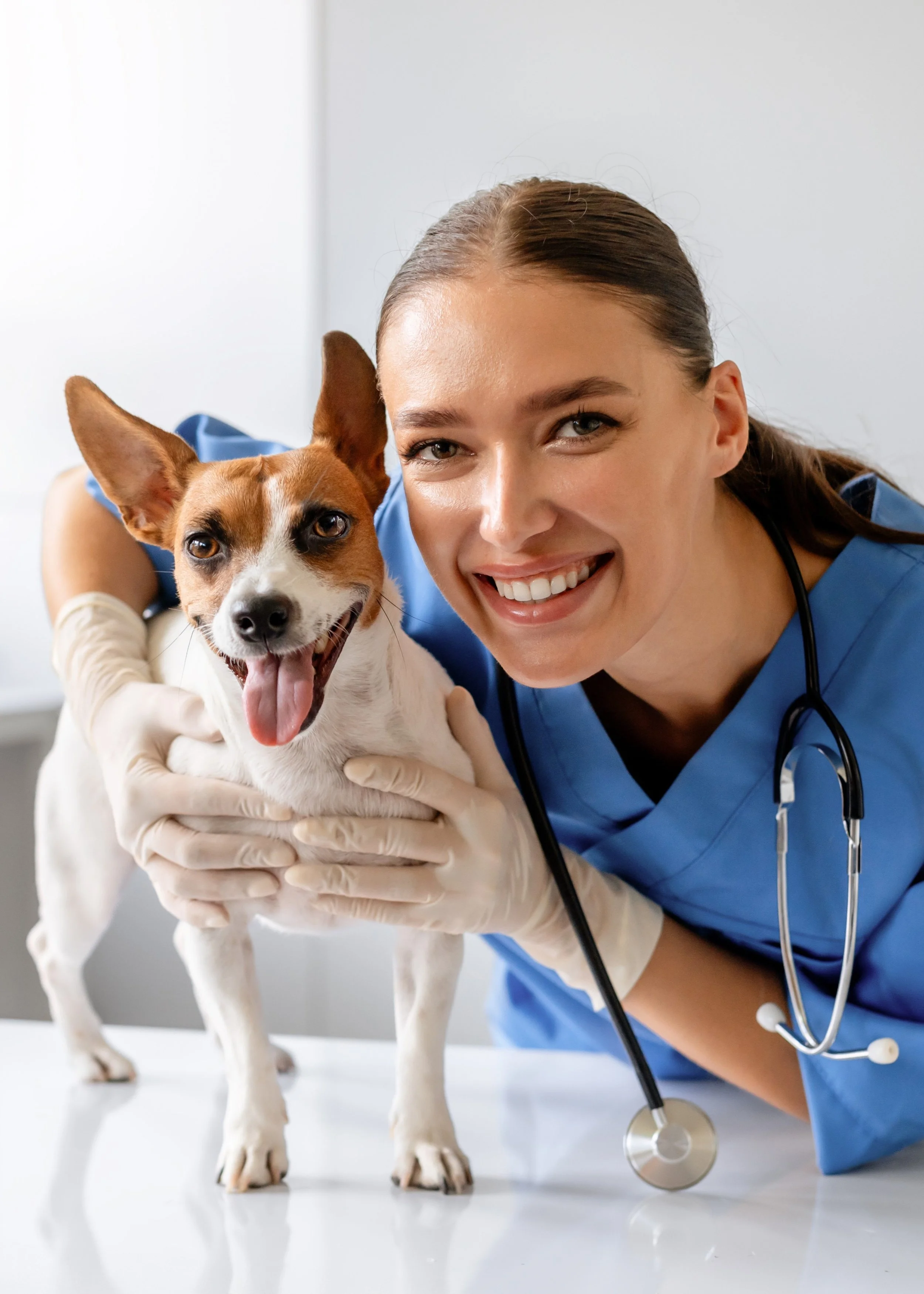 AdobeStock_678735352 crop.jpeg