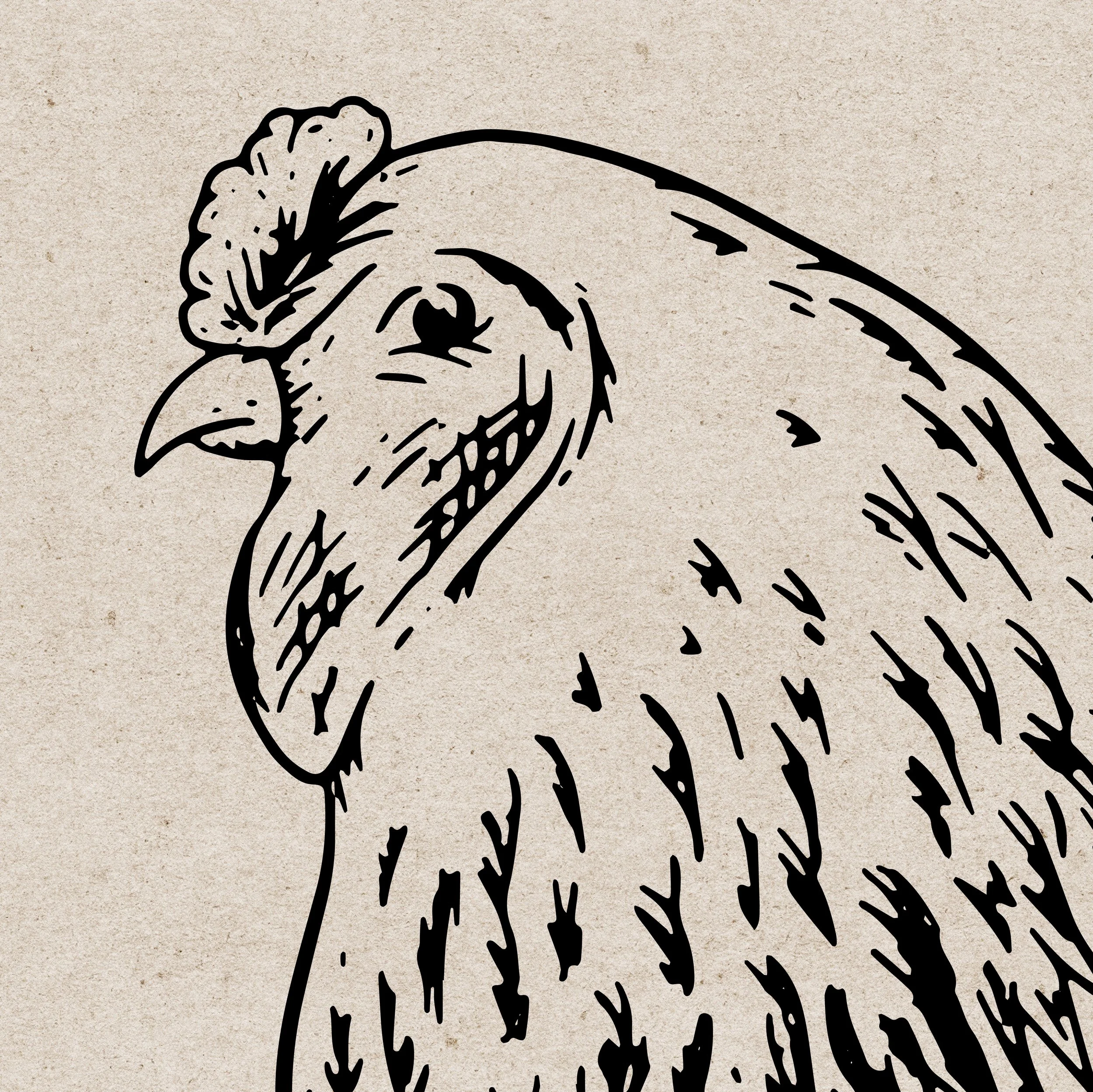 toledo zoo barnyard exhibit illustrations