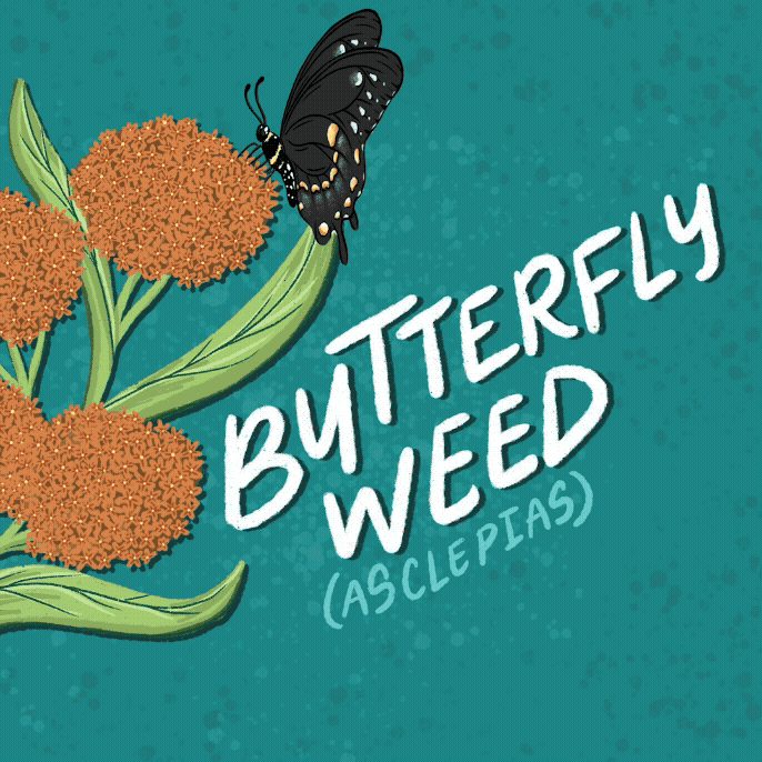 Metroparks Toledo Plant Sale