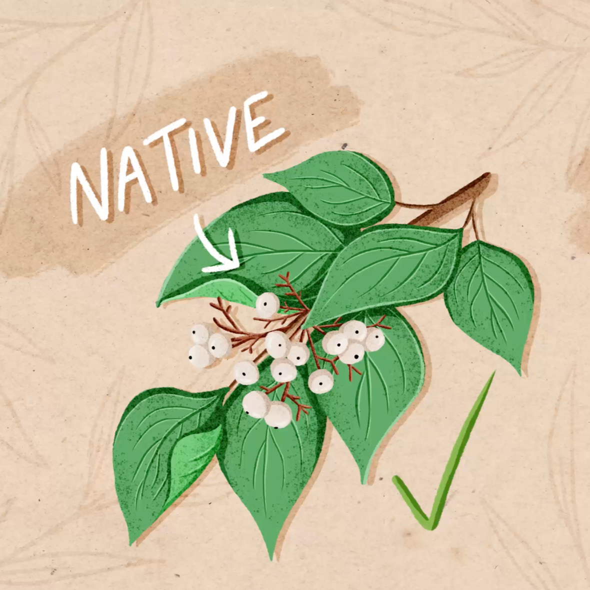 Metroparks Toledo This or that video