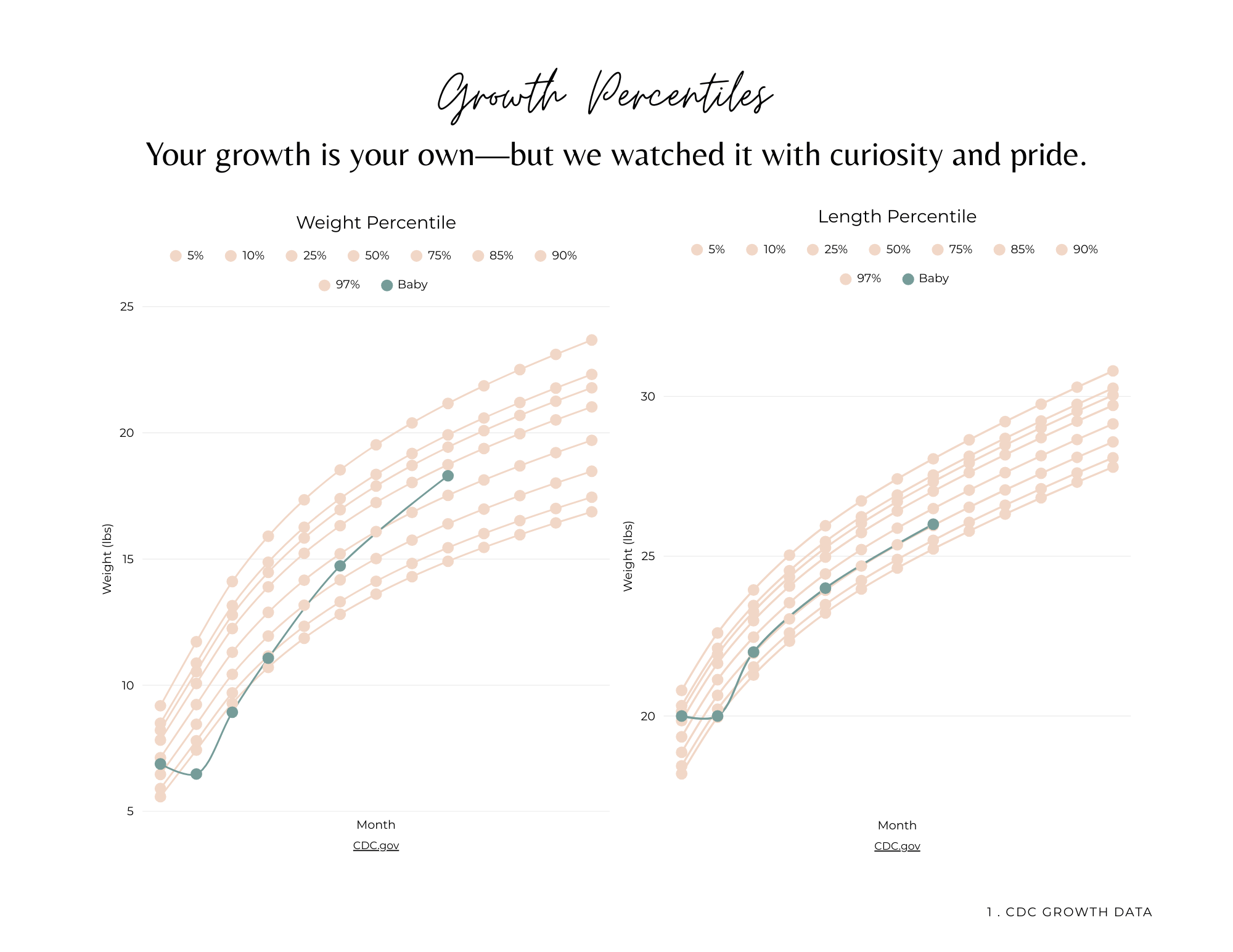 A chart titled 'Growth Percentiles' showing growth data for babies in weight and length percentiles over months, with trend lines and percentile markers. The chart emphasizes curiosity and pride in growth.