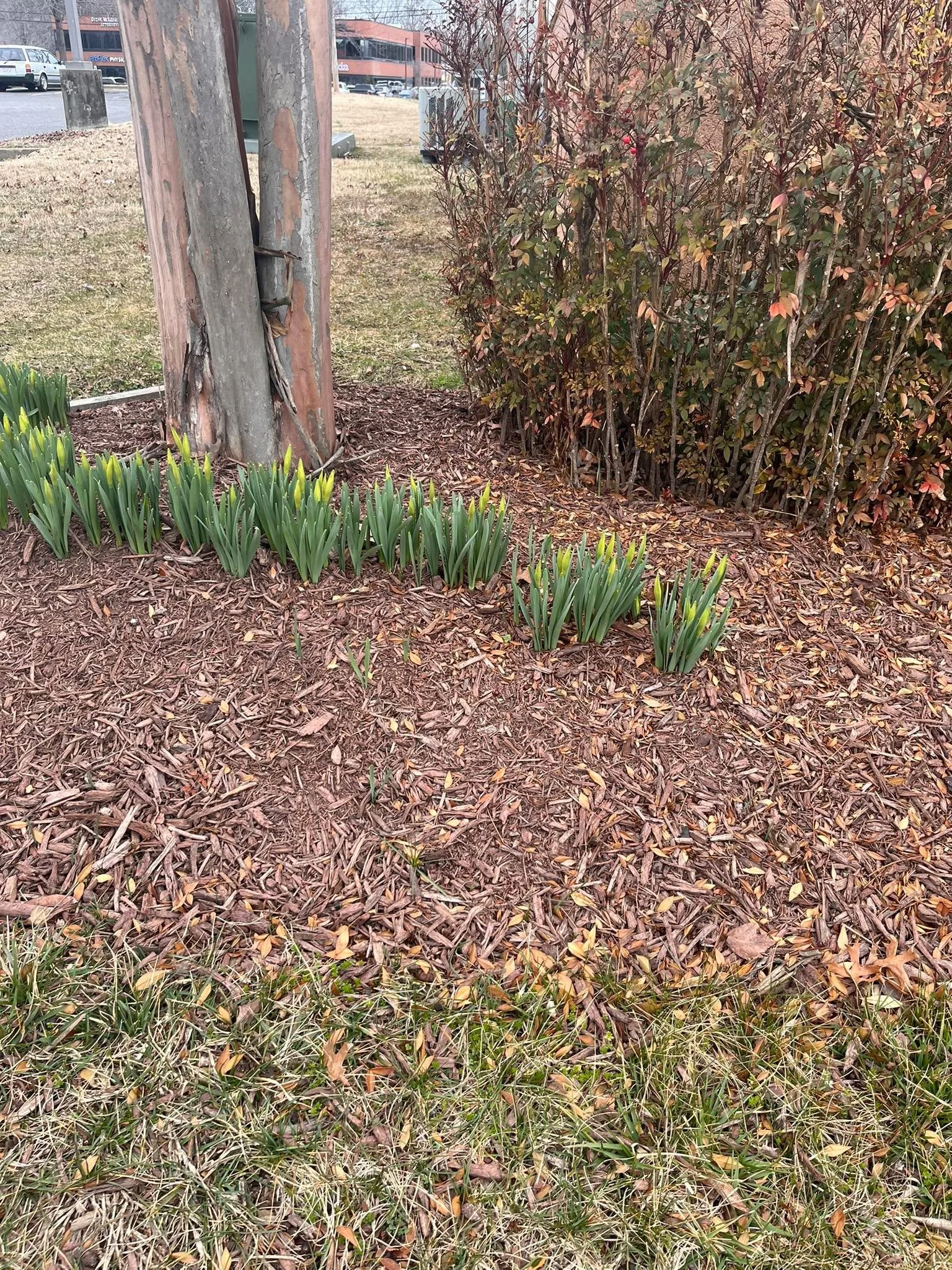 After a long winter of slowing down, going inward, and contracting&hellip;All that stored energy is ready to move.
You see it happening in nature. And if you&rsquo;re aligning more with natural things in life, you see it in yourself too.