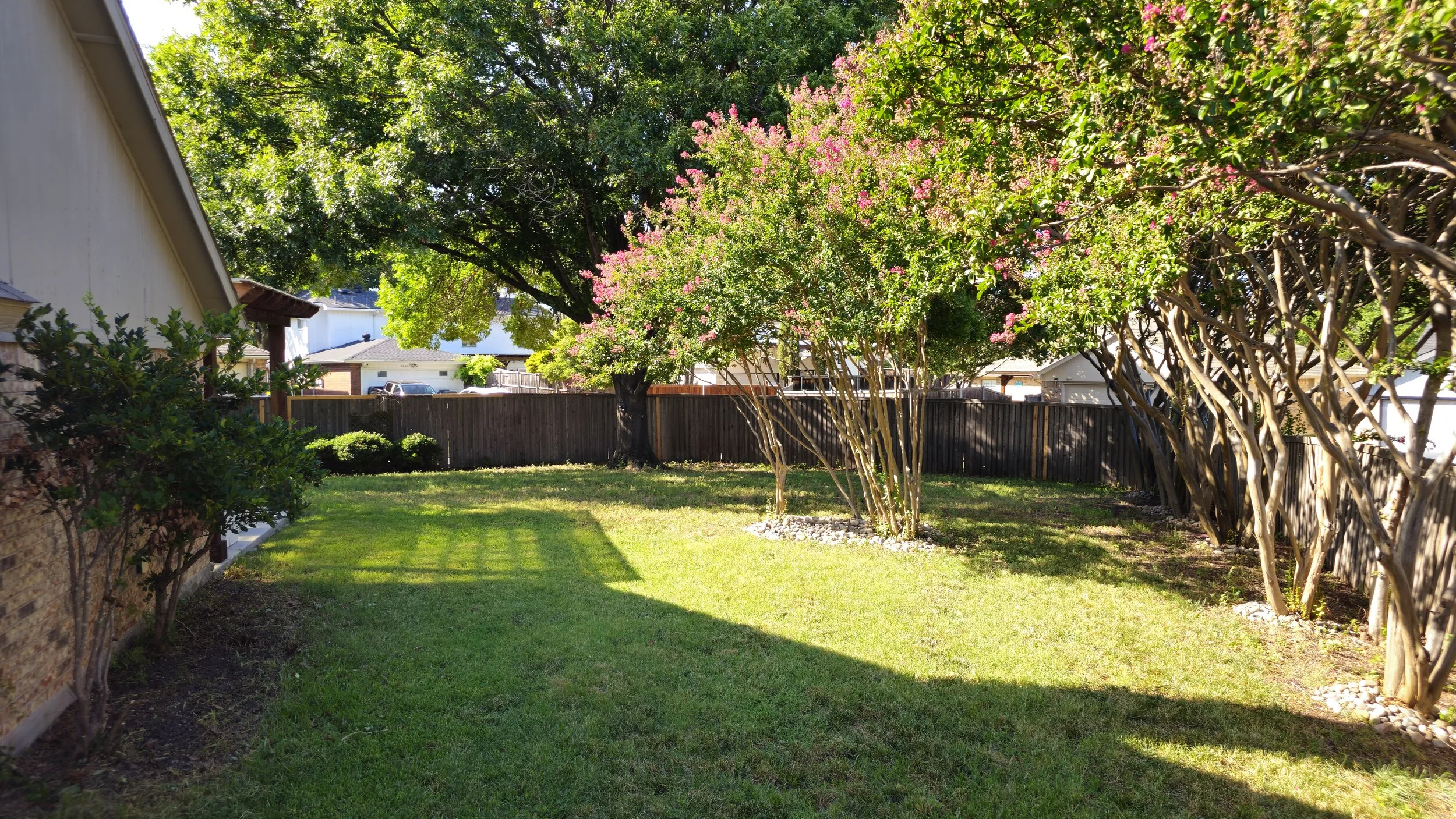 20250720_172647.jpg