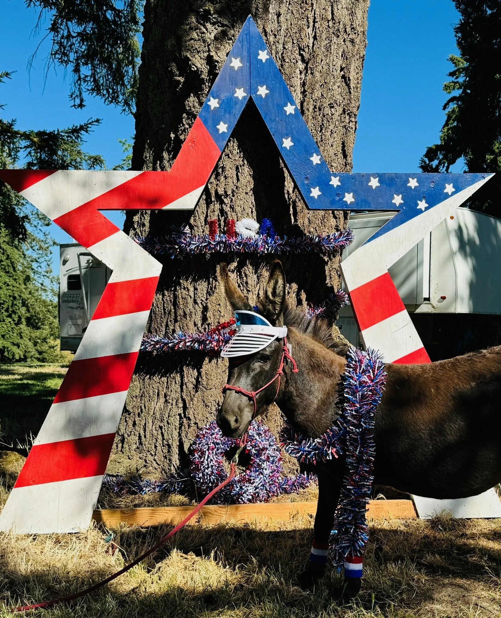 A decorated horse standing next to a large star-shaped decoration painted with an American flag pattern, in front of a tree outdoors.